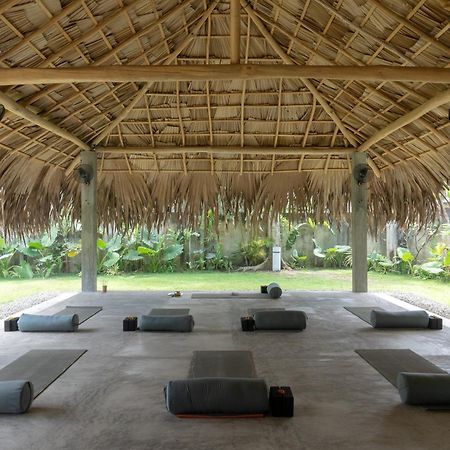 Lotus Surf And Wellness Διαμέρισμα Ahangama Εξωτερικό φωτογραφία